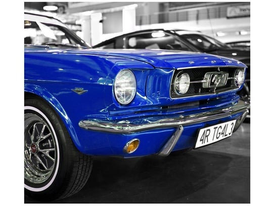 Fototapeta, Niebieski Mustang, 6 elementów, 268x240 cm Oobrazy