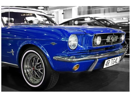 Fototapeta, Niebieski Mustang, 8 elementów, 400x268 cm Oobrazy