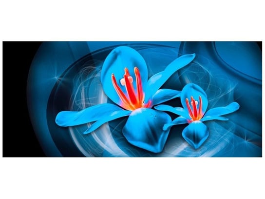 Fototapeta, Niebieskie kosmiczne kwiaty - Jakub Banaś, 12 elementów, 536x240 cm Oobrazy
