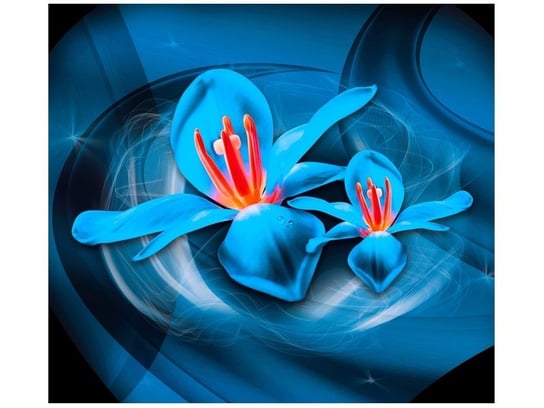 Fototapeta, Niebieskie kosmiczne kwiaty - Jakub Banaś, 6 elementów, 268x240 cm Oobrazy