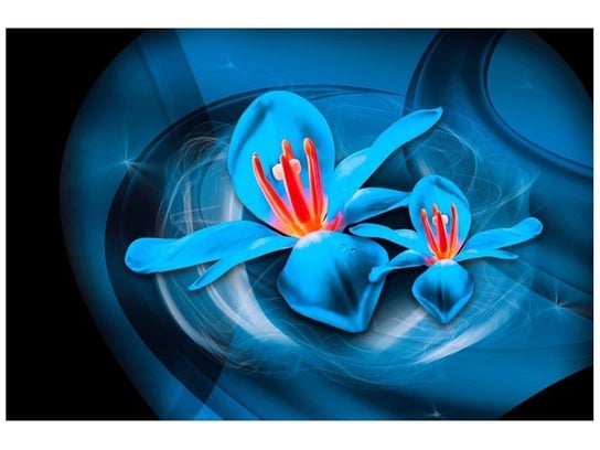 Fototapeta, Niebieskie kosmiczne kwiaty - Jakub Banaś, 8 elementów, 400x268 cm Oobrazy