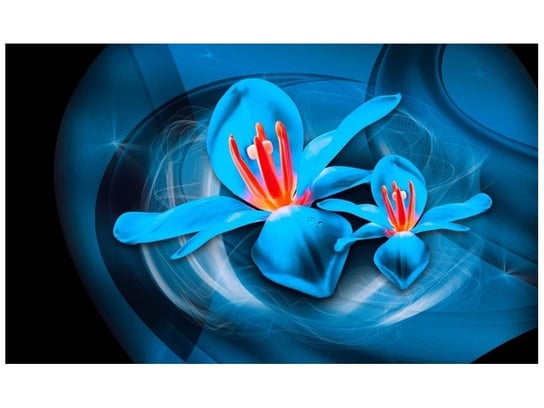 Fototapeta, Niebieskie kosmiczne kwiaty - Jakub Banaś, 8 elementów, 412x248 cm Oobrazy