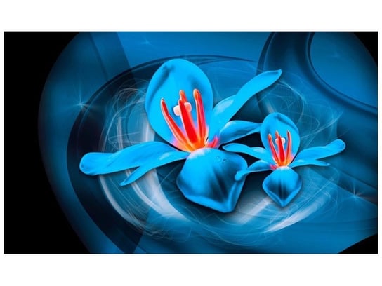 Fototapeta, Niebieskie kosmiczne kwiaty - Jakub Banaś, 9 elementów, 402x240 cm Oobrazy