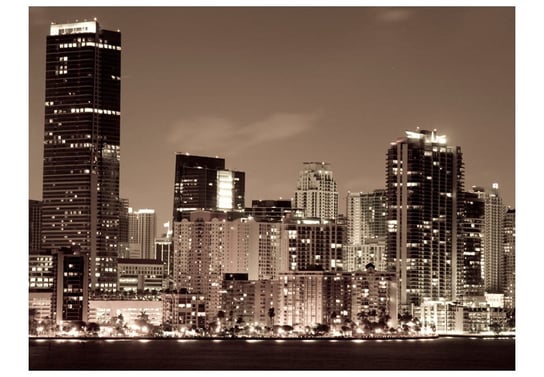 Fototapeta, Nocne życie w Miami, 250X193 DecoNest