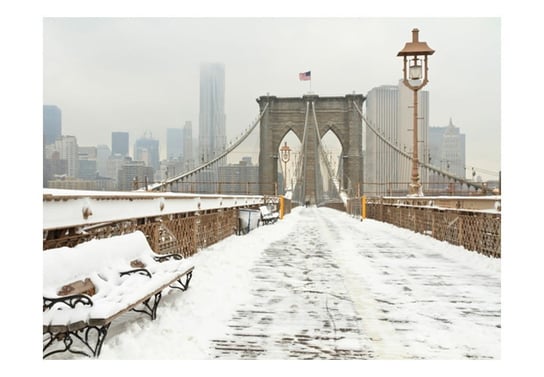 Fototapeta, Nowojorski most pokryty śniegiem, 250X193 DecoNest