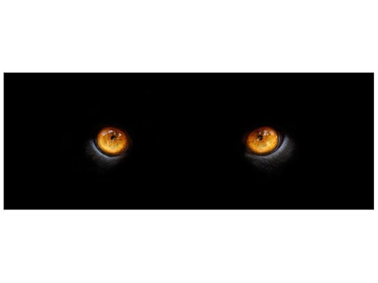 Fototapeta Oczy pantery, 2 elementy, 268x100 cm Oobrazy