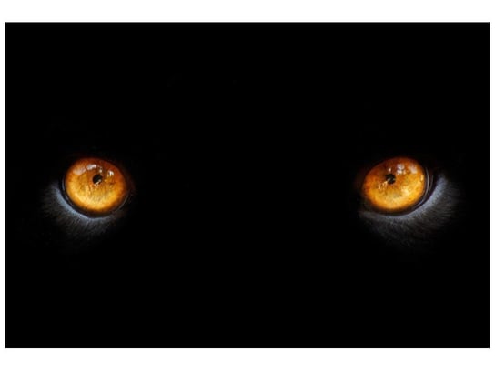 Fototapeta Oczy pantery, 200x135 cm Oobrazy