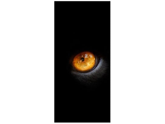 Fototapeta Oczy pantery, 95x205 cm Oobrazy