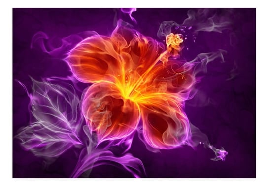 Fototapeta, Ognisty kwiat w purpurze, 350x245 cm DecoNest