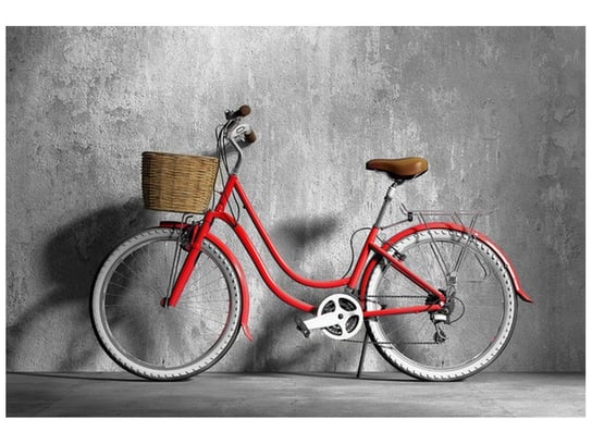 Fototapeta Oldschoolowy rower, 200x135 cm Oobrazy