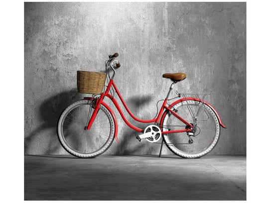 Fototapeta, Oldschoolowy rower, 6 elementów, 268x240 cm Oobrazy