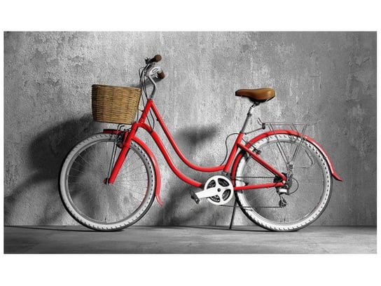 Fototapeta, Oldschoolowy rower, 9 elementów, 402x240 cm Oobrazy