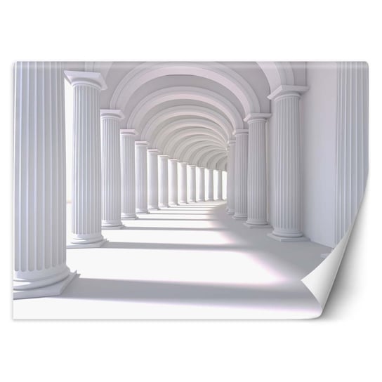 Fototapeta, Optyczna iluzja w bieli 100x70 Feeby