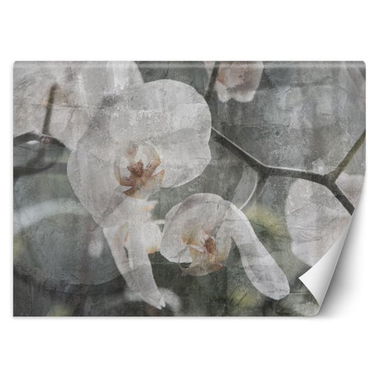 Fototapeta, Orchidea vintage - 150x105 Inna marka