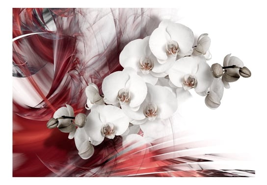 Fototapeta, Orchidea w czerwieni, 100x70 cm DecoNest