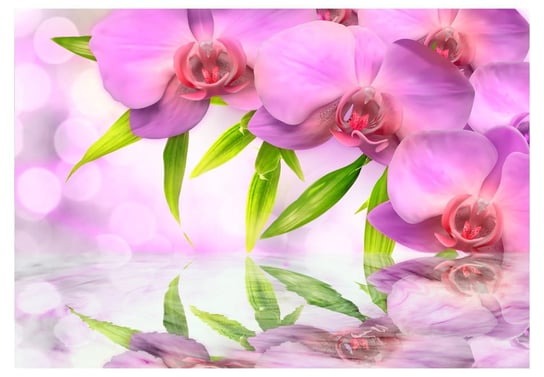 Fototapeta, Orchidee w kolorze lila, 300x210 cm DecoNest