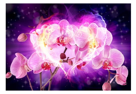 Fototapeta, Orchidee w płomieniach, 100x70 cm DecoNest