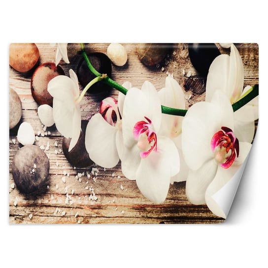 Fototapeta, Orchidee zen 150x105 Feeby