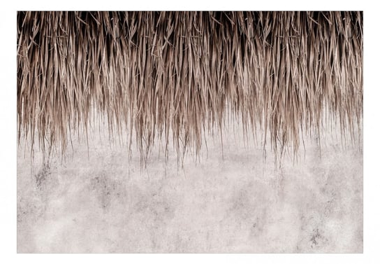 Fototapeta, Palmowy baldachim, 100x70 cm DecoNest