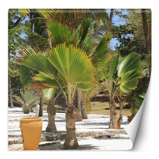 Fototapeta Palmy na tropikalnej plaży 200x200 Feeby
