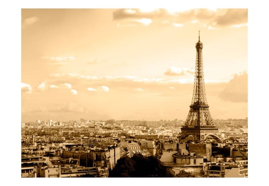 Fototapeta, Paryż, panorama, 200X154 DecoNest