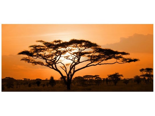 Fototapeta, Pejzaż afrykański, 12 elementów, 536x240 cm Oobrazy