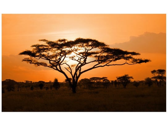 Fototapeta, Pejzaż afrykański, 9 elementów, 402x240 cm Oobrazy