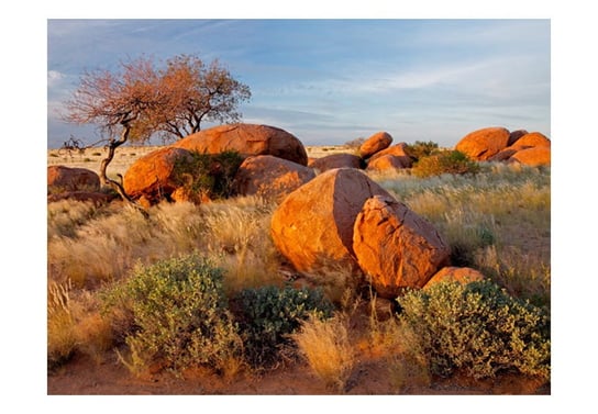 Fototapeta, Pejzaż afrykański, Namibia, 250X193 DecoNest