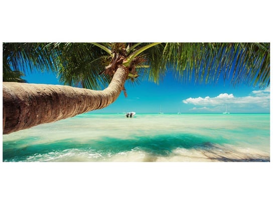 Fototapeta, Piękna palma nad Morzem Karaibskim, 12 elementów, 536x240 cm Oobrazy