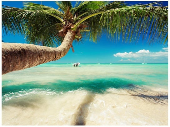 Fototapeta Piękna palma nad Morzem Karaibskim, 2 elementy, 200x150 cm Oobrazy