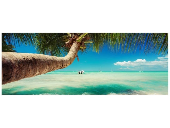 Fototapeta, Piękna palma nad Morzem Karaibskim, 2 elementy, 268x100 cm Oobrazy