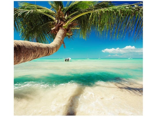 Fototapeta Piękna palma nad Morzem Karaibskim, 6 elementów, 268x240 cm Oobrazy
