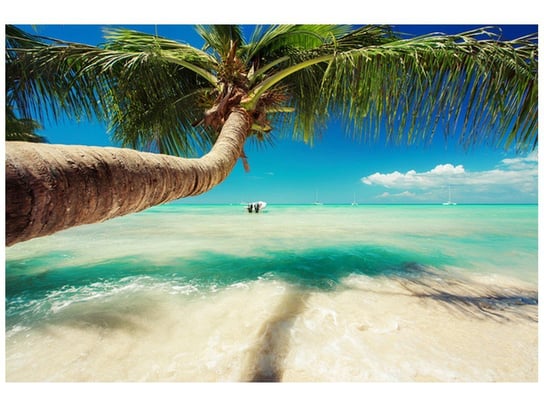 Fototapeta Piękna palma nad Morzem Karaibskim, 8 elementów, 368x248 cm Oobrazy