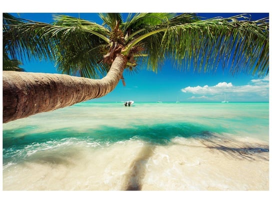 Fototapeta Piękna palma nad Morzem Karaibskim, 8 elementów, 400x268 cm Oobrazy