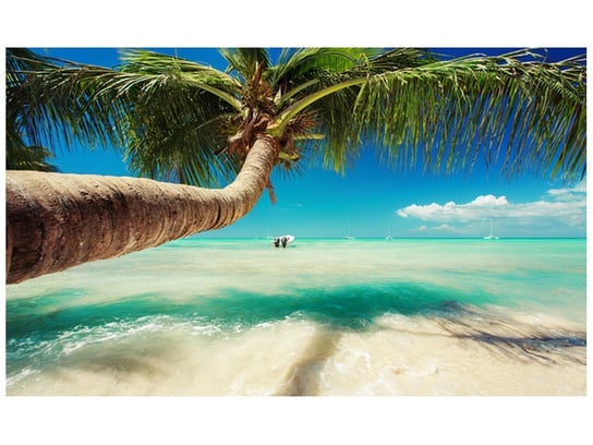 Fototapeta Piękna palma nad Morzem Karaibskim, 8 elementów, 412x248 cm Oobrazy