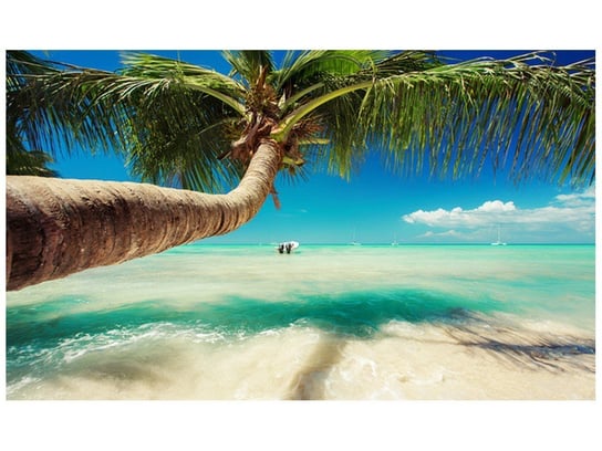 Fototapeta, Piękna palma nad Morzem Karaibskim, 9 elementów, 402x240 cm Oobrazy