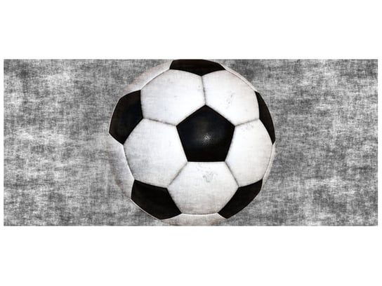 Fototapeta, Piłka footballowa, 12 elementów, 536x240 cm Oobrazy