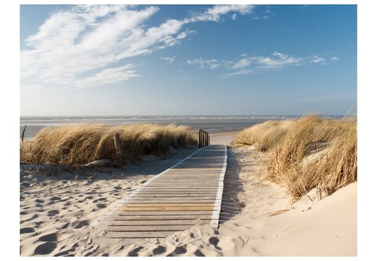 Fototapeta, Plaża Morza Północnego, Langeoog, 200X154 DecoNest