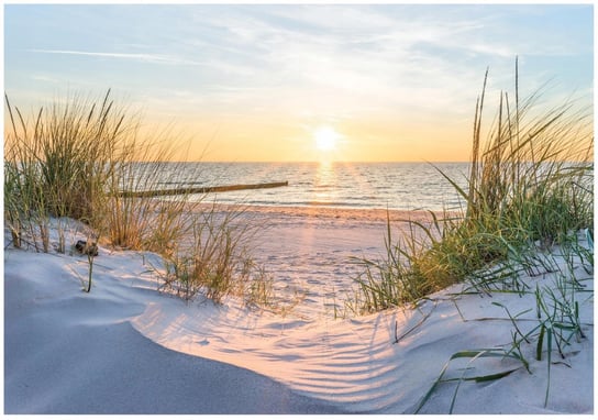 FOTOTAPETA PLAŻA MORZE WYDMY BAŁTYK WIDOK DO SYPIALNI SALONU TAPETA 250X175 Wallarena