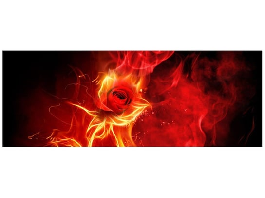 Fototapeta, Płomienista róża, 2 elementów, 268x100 cm Oobrazy
