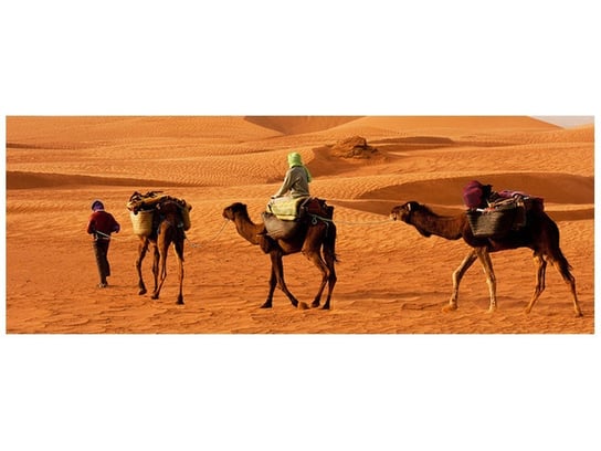 Fototapeta Podróż po pustyni, 2 elementy, 268x100 cm Oobrazy