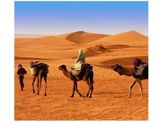 Fototapeta Podróż po pustyni, 6 elementów, 268x240 cm Oobrazy