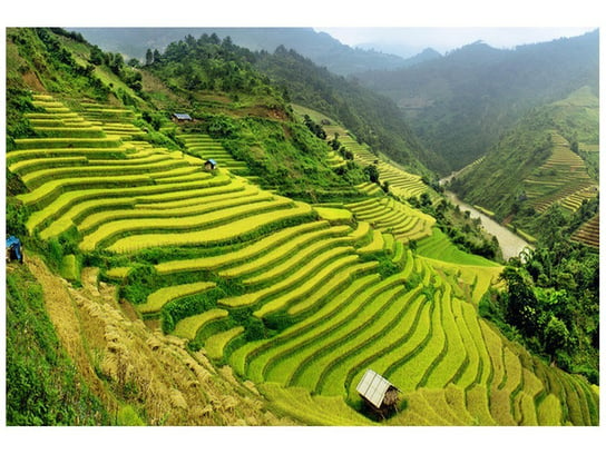 Fototapeta Pola ryżowe Mu Cang Chai, 200x135 cm Oobrazy