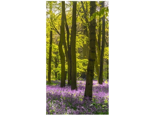 Fototapeta, Poranek w lesie, 2 elementy, 110x200 cm Oobrazy