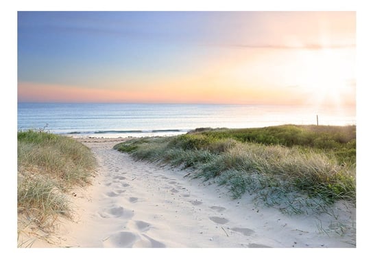 Fototapeta, Poranny spacer po plaży, 250x175 cm DecoNest