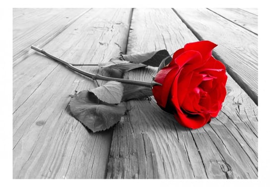 Fototapeta, Porzucona róża, 150x105 cm DecoNest