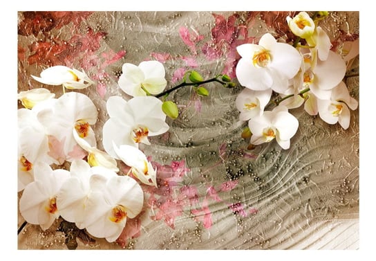 Fototapeta, Pustynna orchidea, 250x175 cm DecoNest