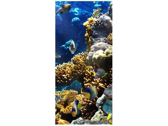 Fototapeta, Rafa koralowa, 1 elementów, 95x205 cm Oobrazy