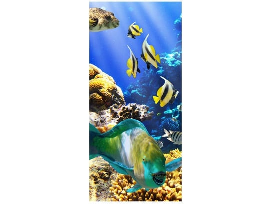 Fototapeta, Rafa koralowa, 1 elementów, 95x205 cm Oobrazy