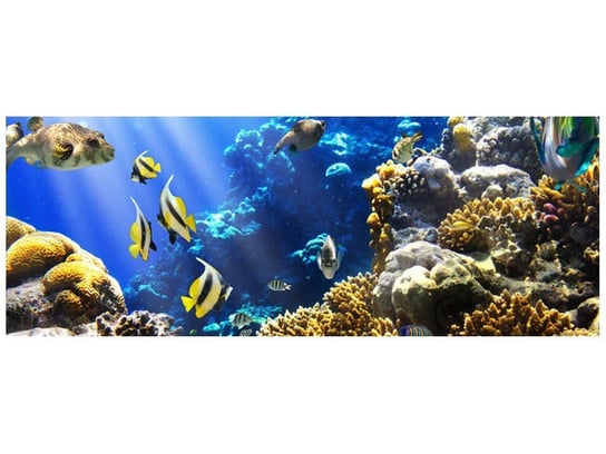 Fototapeta, Rafa koralowa, 2 elementy, 268x100 cm Oobrazy